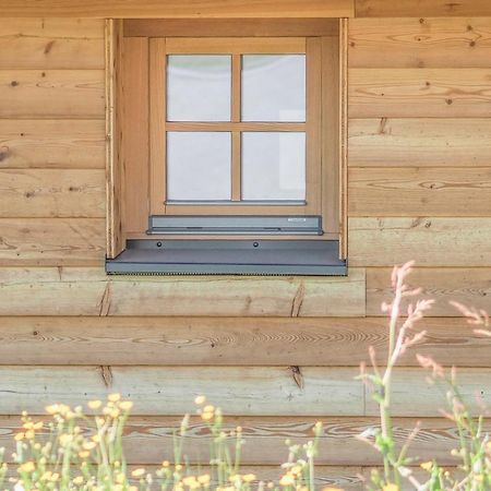 Das Koralpenchalet...Sonne, Wald, Natur! Trahutten 外观 照片