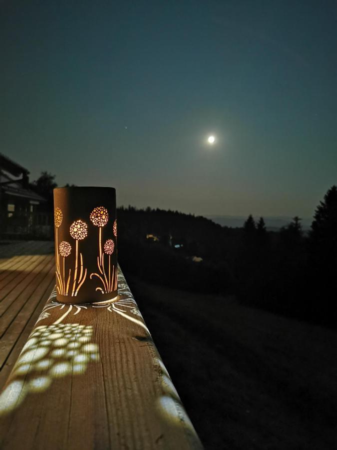 Das Koralpenchalet...Sonne, Wald, Natur! Trahutten 外观 照片