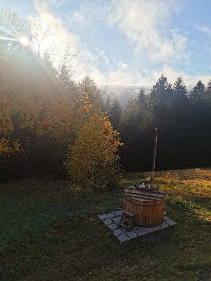 Das Koralpenchalet...Sonne, Wald, Natur! Trahutten 外观 照片