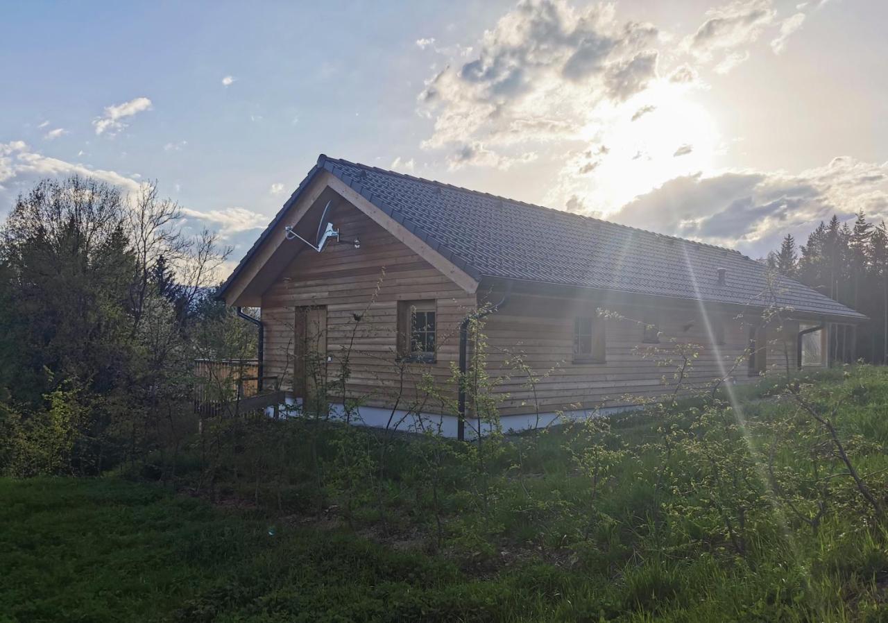 Das Koralpenchalet...Sonne, Wald, Natur! Trahutten 外观 照片