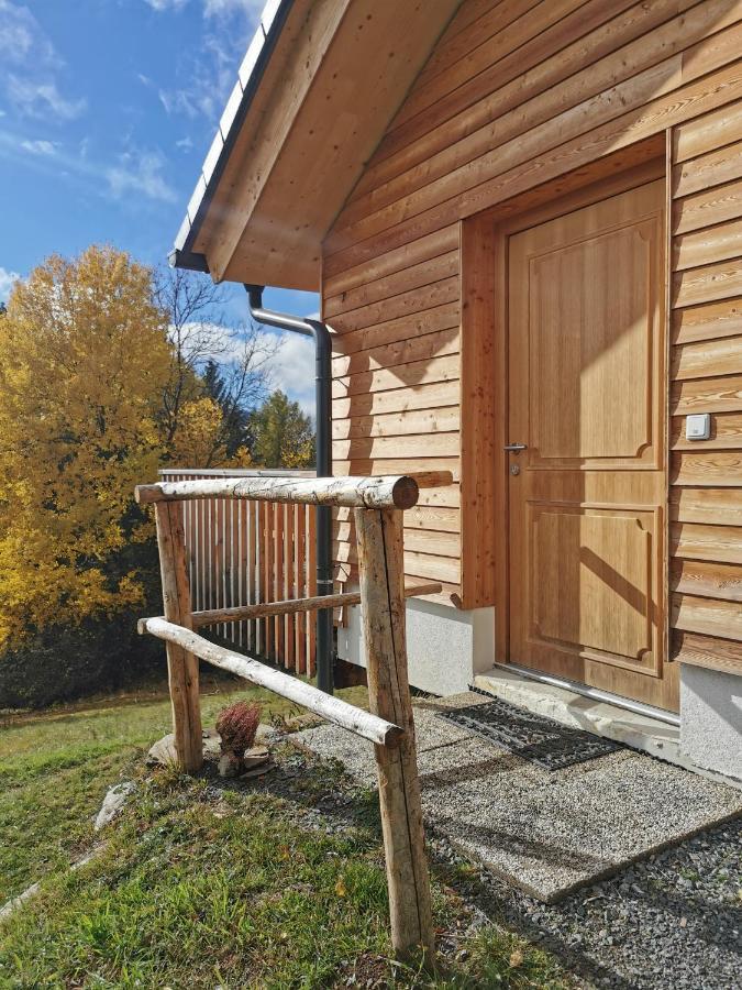 Das Koralpenchalet...Sonne, Wald, Natur! Trahutten 外观 照片