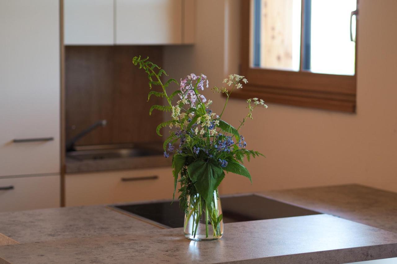 Das Koralpenchalet...Sonne, Wald, Natur! Trahutten 外观 照片