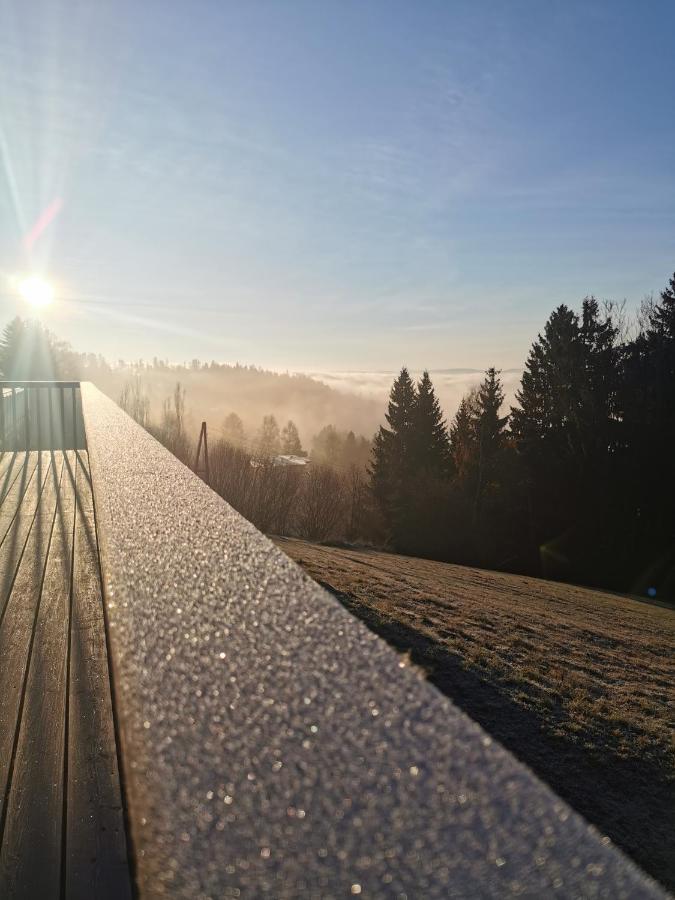 Das Koralpenchalet...Sonne, Wald, Natur! Trahutten 外观 照片